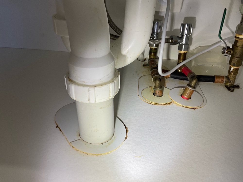 What a timber pest inspection covers in Point Cook